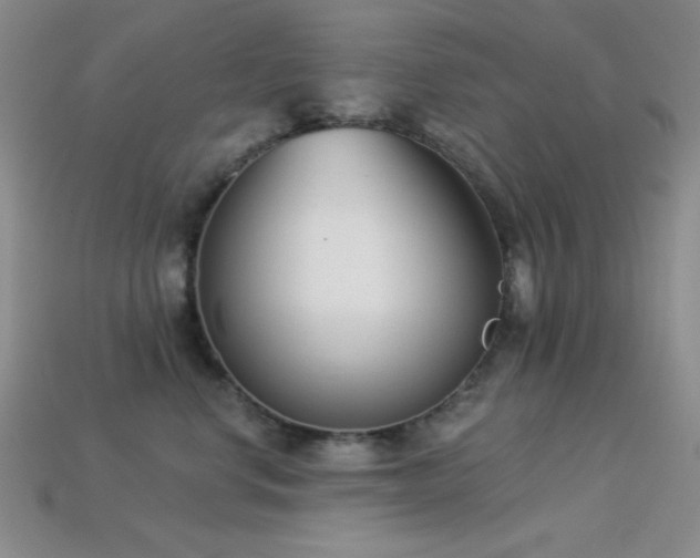 X0000113320668200909141356