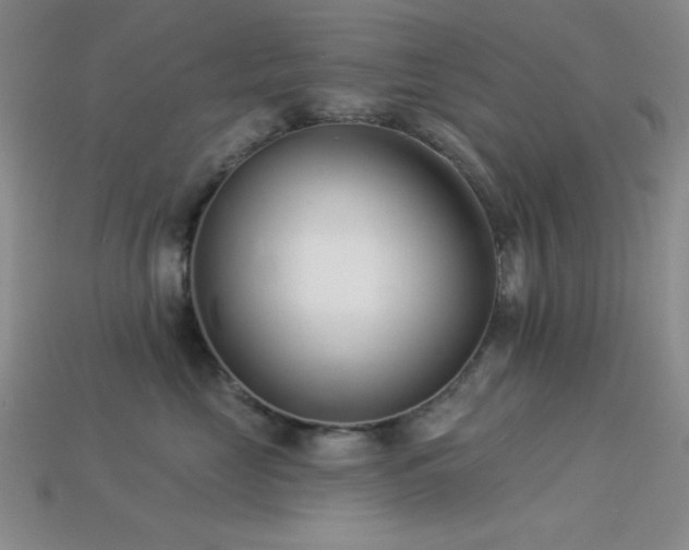 X0000113320669200909141356