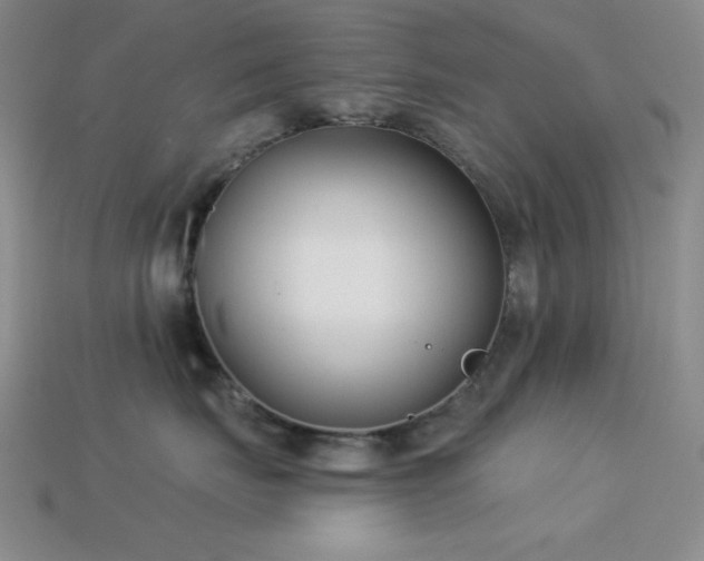 X0000113320671200909141356