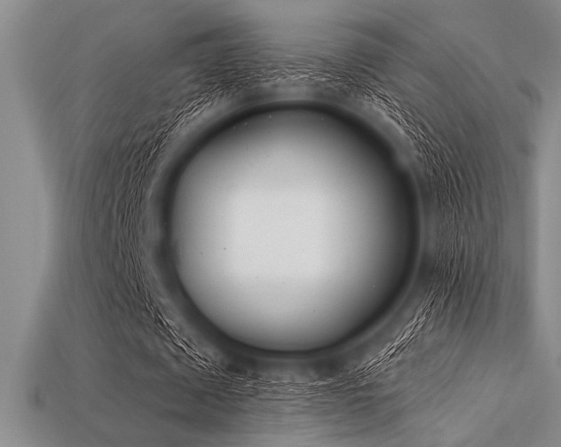 X0000113320673200909141356