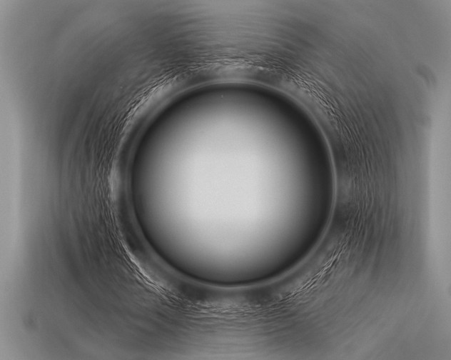 X0000113320674200909141356