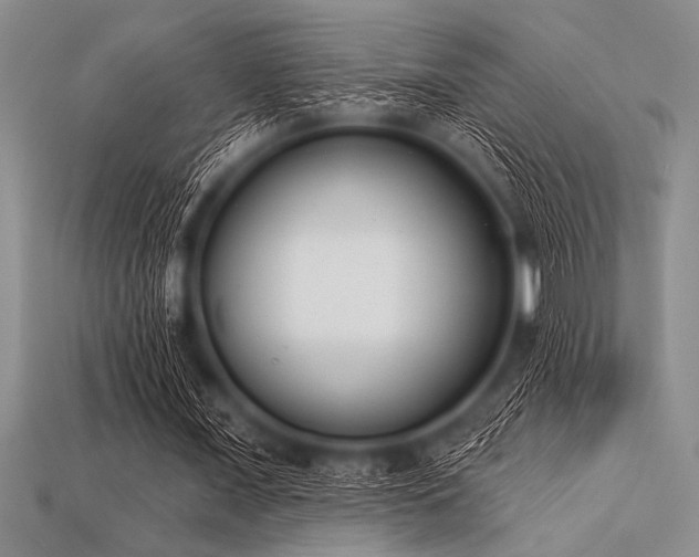 X0000113320675200909141356