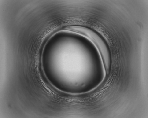 X0000113320677200909141356