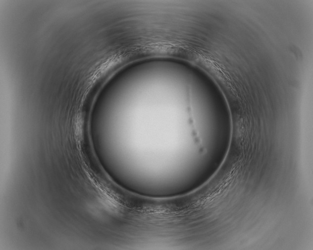 X0000113320679200909141356