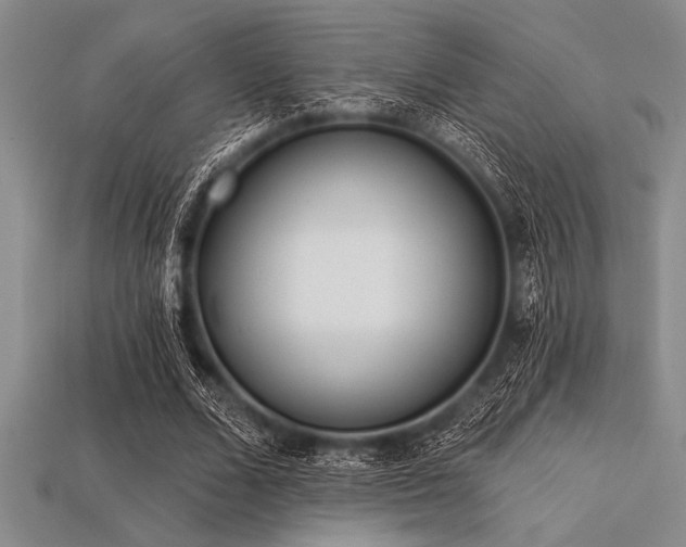 X0000113320680200909141356