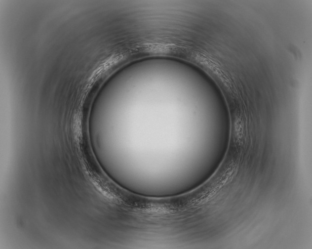 X0000113320682200909141356