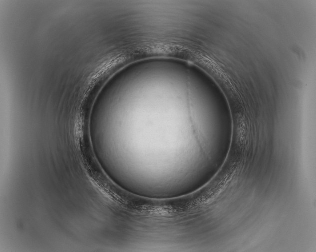 X0000113320683200909141356