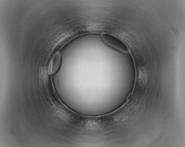 X0000113320684200909141356