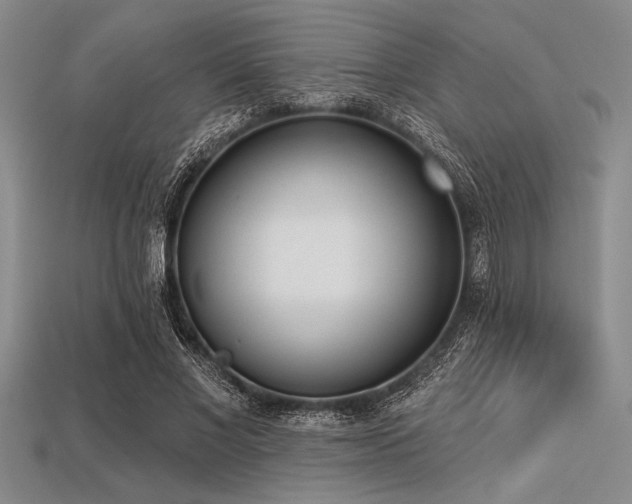 X0000113320685200909141356