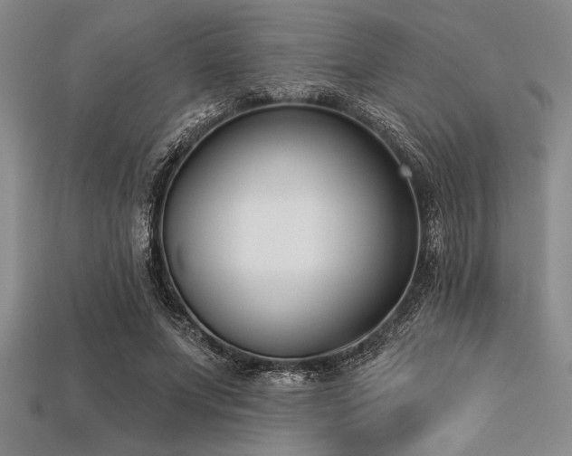 X0000113320687200909141356