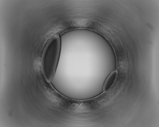 X0000113320688200909141356