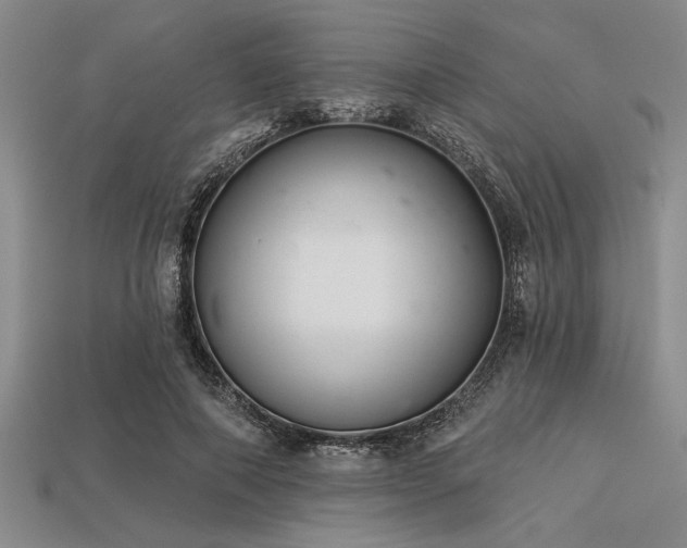 X0000113320690200909141356