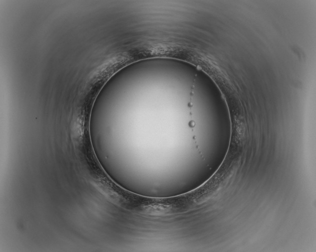 X0000113320691200909141356