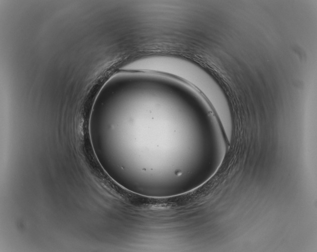 X0000113320692200909141356