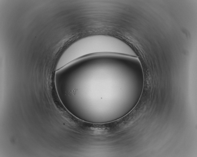 X0000113320693200909141355