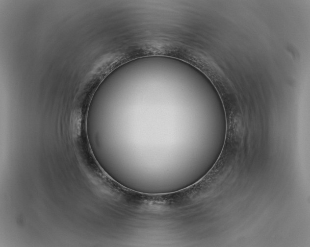 X0000113320694200909141355