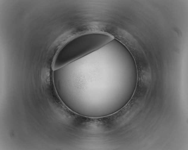 X0000113320696200909141355