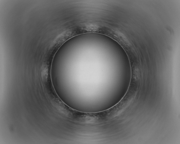 X0000113320697200909141355