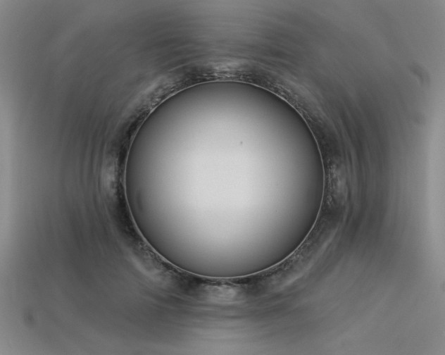 X0000113320698200909141355