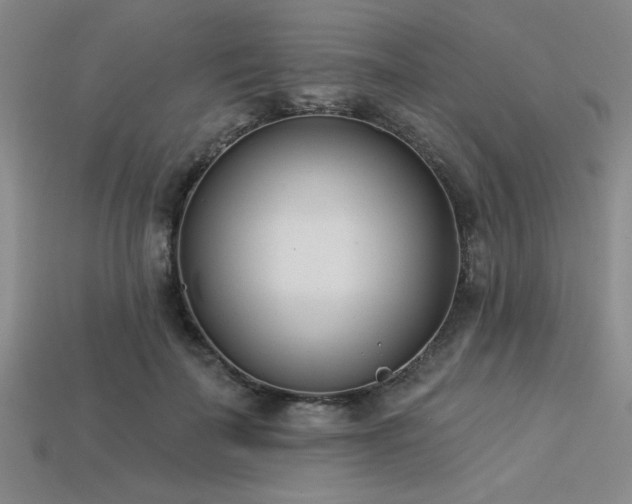 X0000113320699200909141355