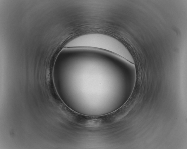 X0000113320700200909141355