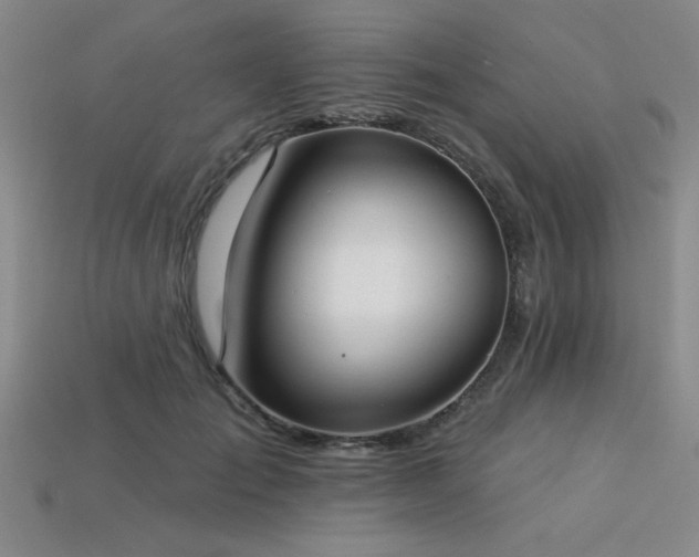 X0000113320701200909141355