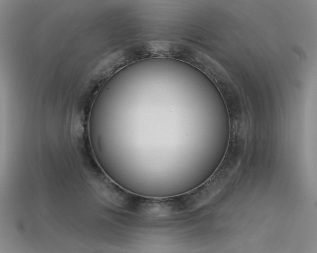 X0000113320702200909141355