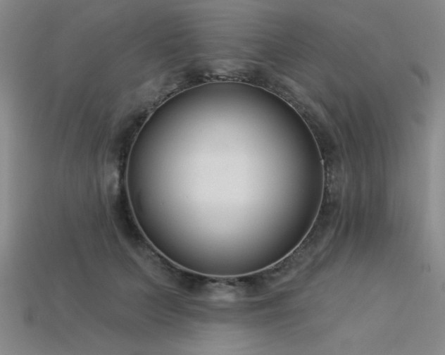 X0000113320703200909141355