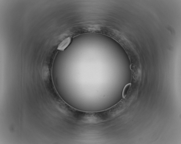 X0000113320704200909141355