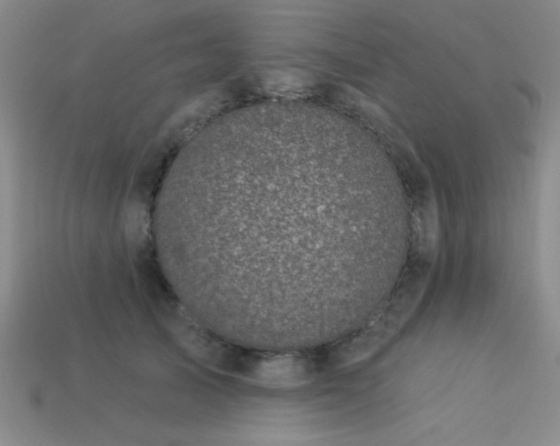 X0000113320705200909141355