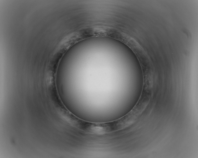 X0000113320706200909141355