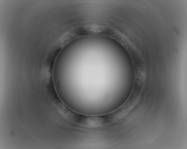 X0000113320707200909141355