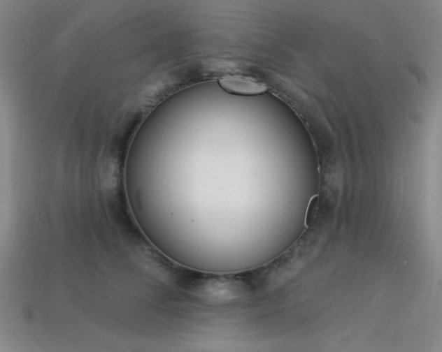 X0000113320708200909141355