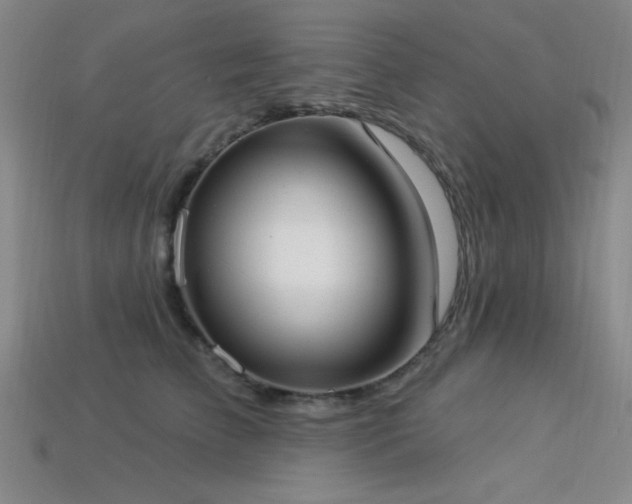 X0000113320709200909141355