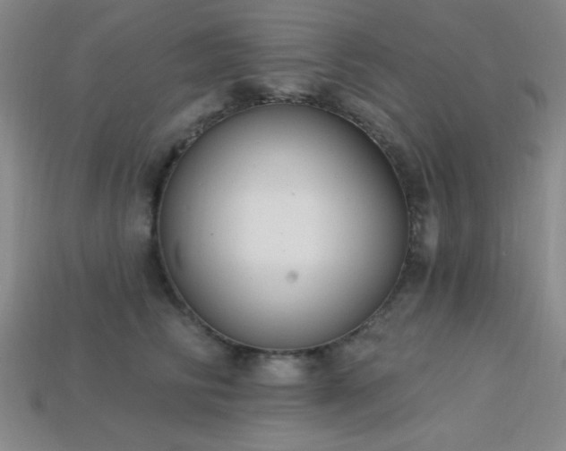 X0000113320710200909141355