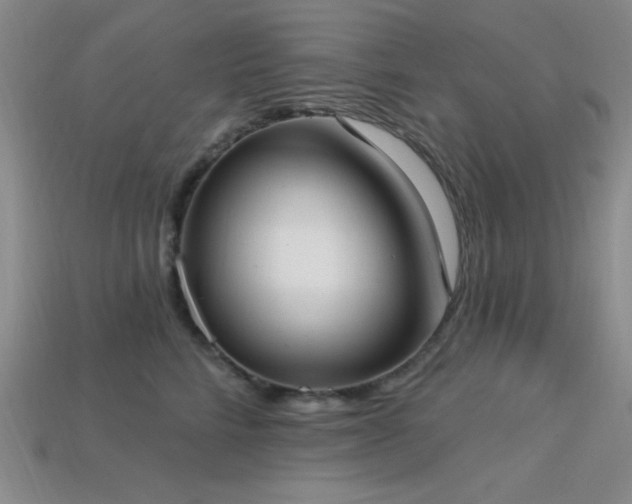 X0000113320712200909141355