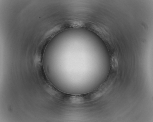 X0000113320714200909141355