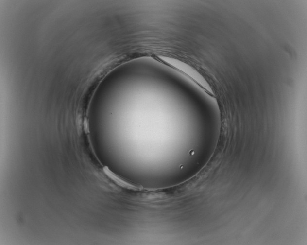 X0000113320716200909141355