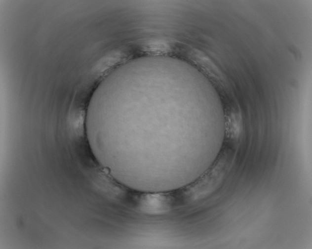 X0000113320717200909141355