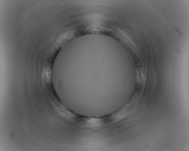 X0000113320718200909141355