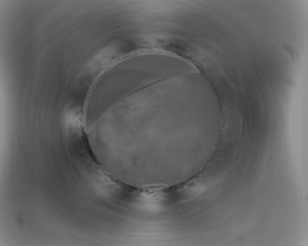 X0000113320720200909141355