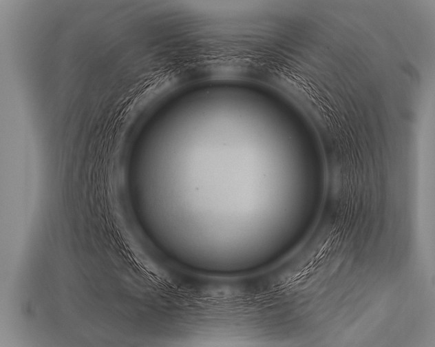 X0000113320721200909141354