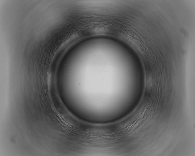 X0000113320722200909141354