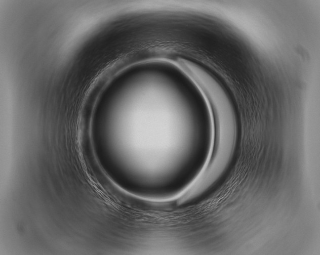 X0000113320724200909141354