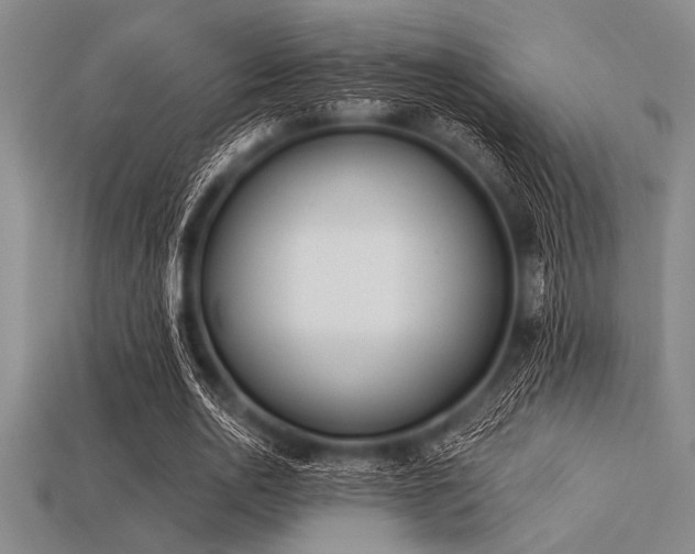 X0000113320726200909141354