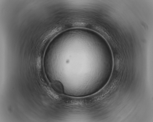 X0000113320729200909141354