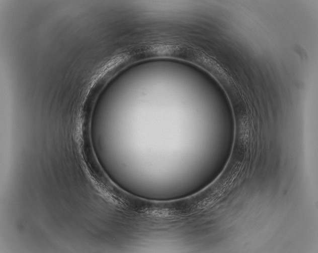 X0000113320730200909141354