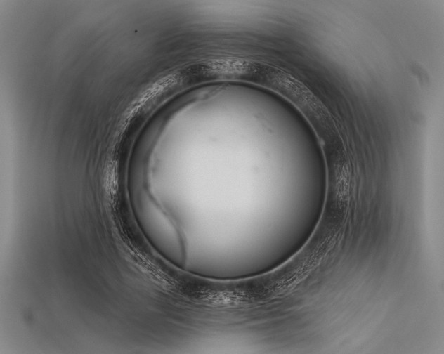 X0000113320731200909141354