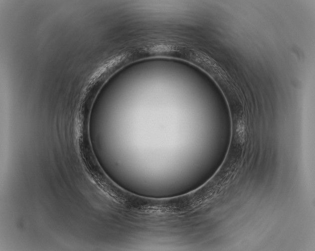 X0000113320732200909141355