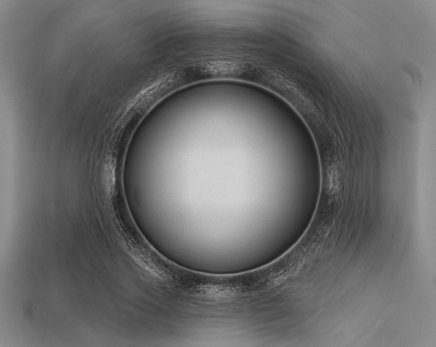 X0000113320733200909141355